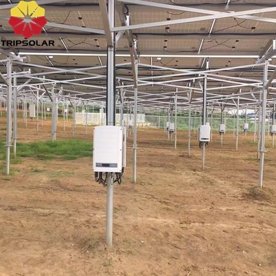 Instalación en campos abiertos Sistema de montaje en tierra con diseño personalizado