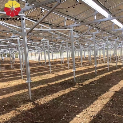 Instalación en campos abiertos Sistema de montaje en tierra con diseño personalizado